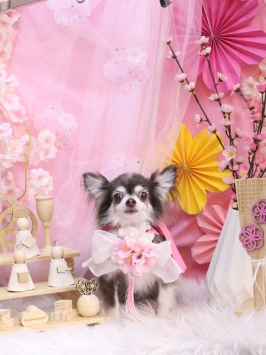 20250321空太くん